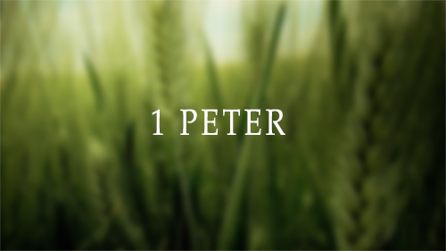 How Will You Take The Test 1 Peter 16 9